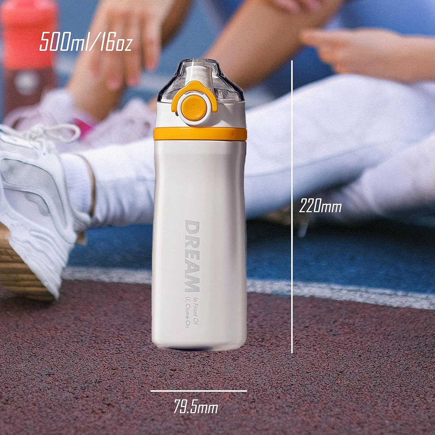 Aeiniwer Insulated Stainless Steel Water Bottle with Straw and Handle for Sport Travel, BPA Free, 16Oz